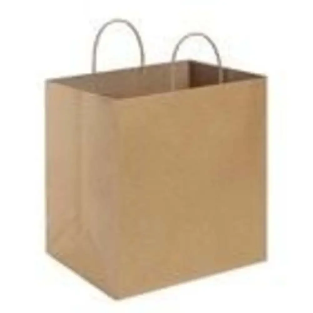 BagDream Large Kraft Paper Grocery Bags w/ Handles, 50-Pack